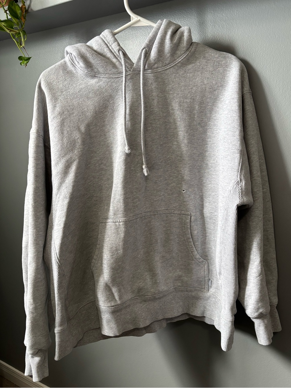 Aritzia Tna Grey Hooded Sweatshirt